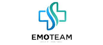 emoteam 342x150